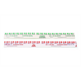 CTA Manufacturing Plastigage Set